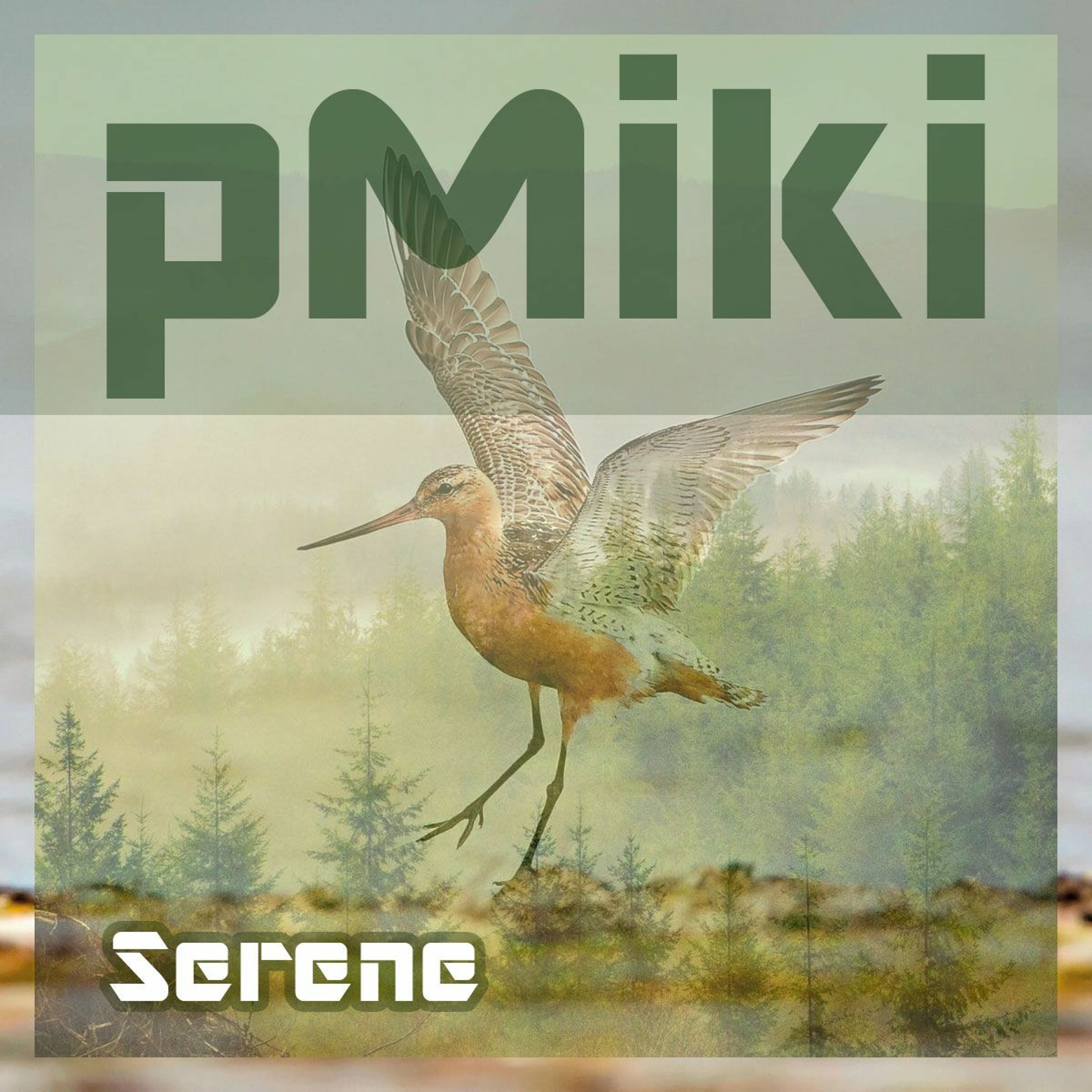 Serene (Original Mix) episode artwork