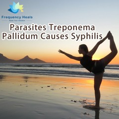 Frequency Heals – Parasites Treponema Pallidum Causes Syphilis (ETDF)