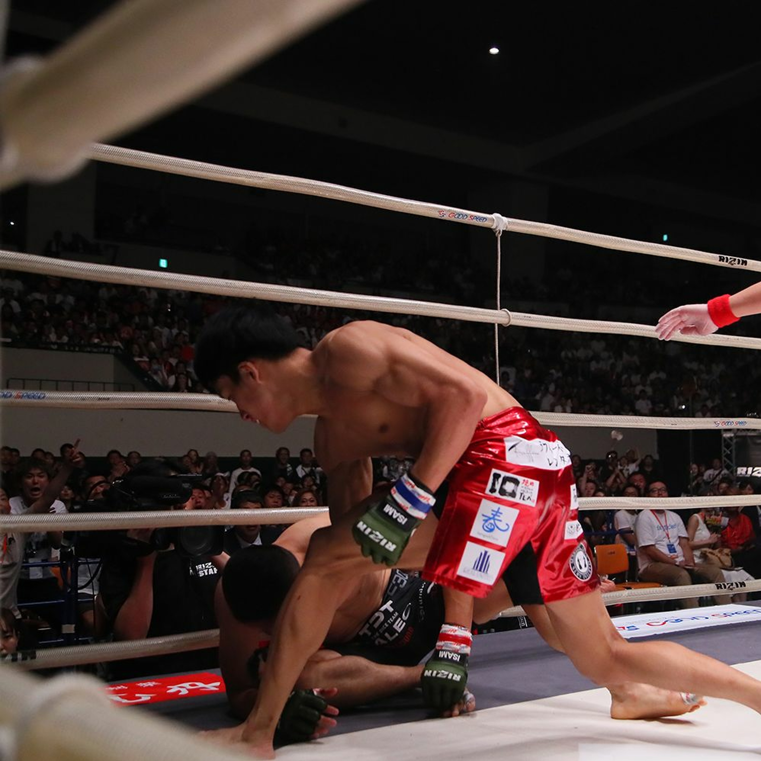 We are Rizin