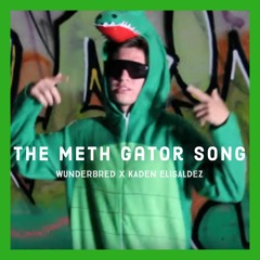 The Meth Gator Song (Prod. Kaden Elisaldez)