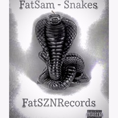 Snakes (Prod. Tevin Revell)