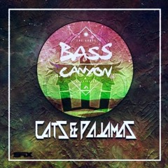 Cats & Pajamas - Road to Bass Canyon 2019 Mix