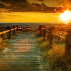 ANSTI - SILENCE (Part II)