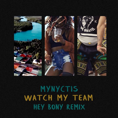 Mynyctis - Watch My Team (Hey Bony Remix)