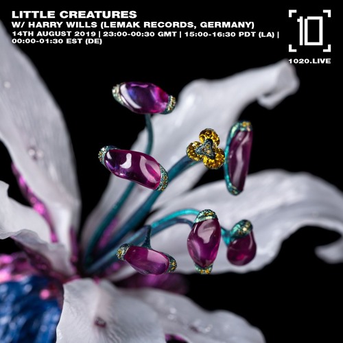 Harry Wills - Little Creatures 013 (LIVE @ Lemak Records Presents...)
