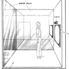 Larry Goves - two-way mirror