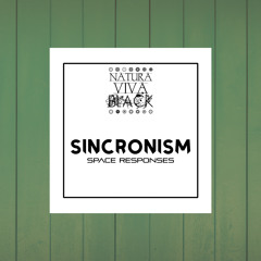 Sincronism - Remove It (Original mix)