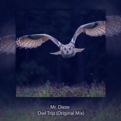 Owl Trip (Original Mix)