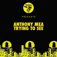 Anthony Mea - Trying To See