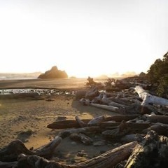 Somewhere Far w/ Sophie Meiers