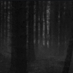 missatauja - nächtlicher waldgang /ashen. rework /agonist