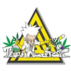We are all yellow !