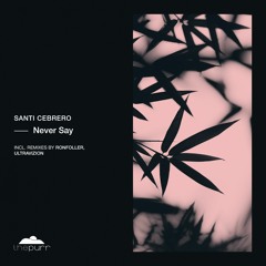 Santi Cebrero - Never Say (Original Mix)
