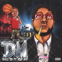 DM feat. A$AP ANT
