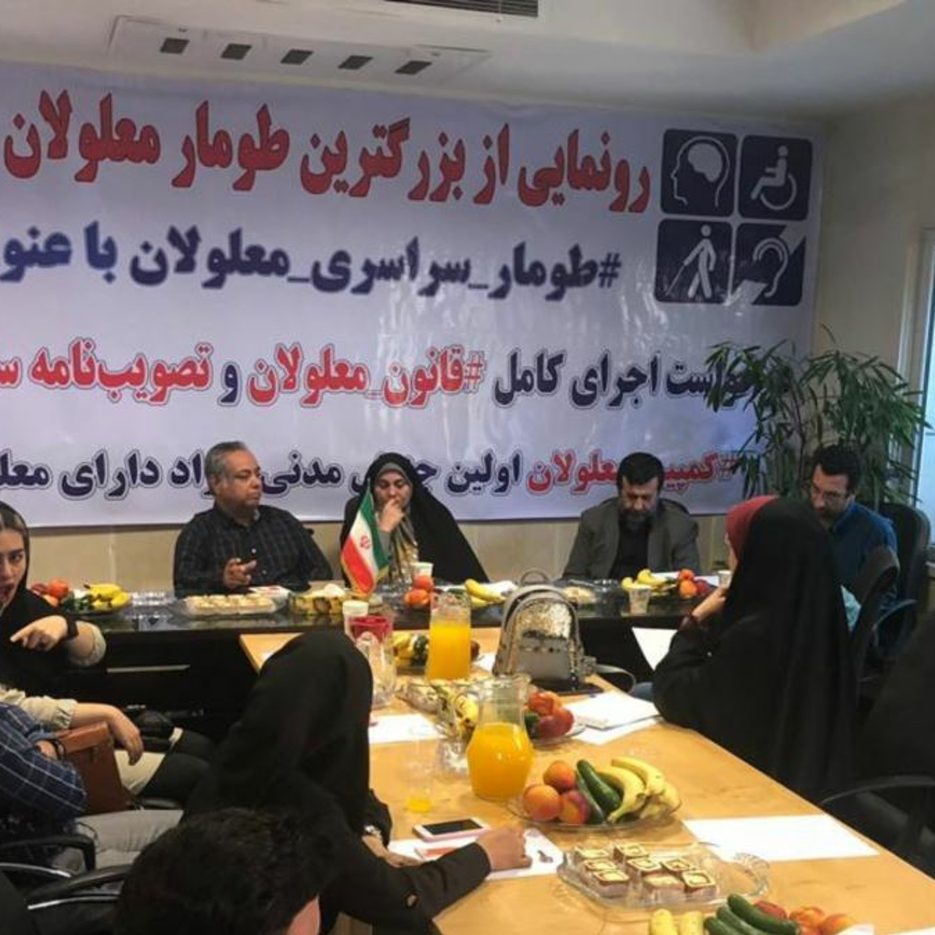 حقوق معلولان در ایران در گفت‌وگو با فرید انصاری دزفولی