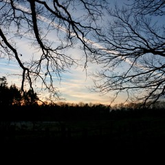 Lindie Lila - The river is flowing (cover)