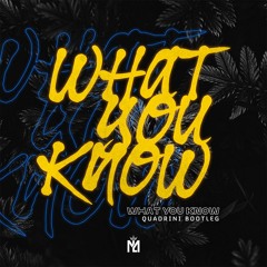 Two Door Cinema Club - What You Know (Quadrini Bootleg)