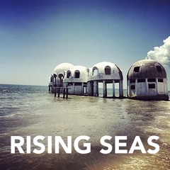 Hobbes (L'Homme Est Un Loup Pour L'Homme)