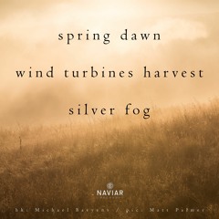 Spring dawn, wind turbines harvest silver fog(Naviarhaiku294)