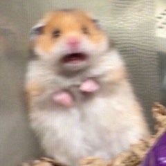 개강을 앞둔 나의 마음을 니가 알아