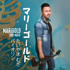 Marigold マリーゴールド [violin]
