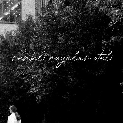 Stream Renkli Rüyalar Oteli ft. Bulut (Teoman Cover) by Nihat Adlim |  Listen online for free on SoundCloud