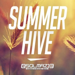 Summer Hive - Mega Man 9 - Hornet Man Stage (Remix)