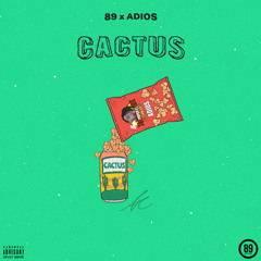 Cactus (Prod By 89)