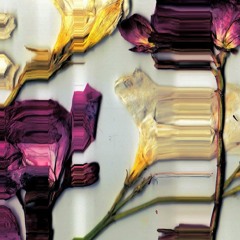 Waiting For The Wind To Howl