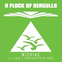 A Flock Of Seagulls - Wish - Ilya Santana Remix