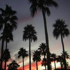 Palm Trees feat. Ahundo (prod. JFlex)