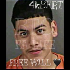 4kBerT - Free Will