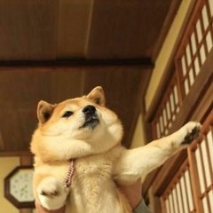 My Personal Favorites