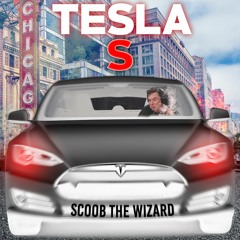 TESLA S