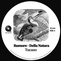 PREMIERE : Rumore - Tucano