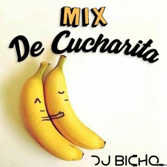 DE CUCHARITA [DJ BICHO 19']