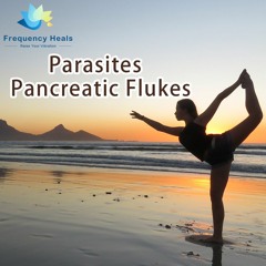 Frequency Heals – Parasites Pancreatic Flukes (ETDF)