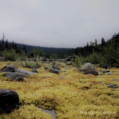 first signs of autumn