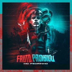 MC Pedrinho - Fruto Proibido DJ Kalfani