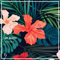 Jay Aliyev - I Believe It