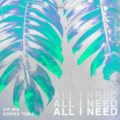 Adrien Toma - All I Need (Adrien Toma VIP Mix)