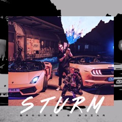 Brooker & Bozar - Sturm (prod. By BASIC BITCH)