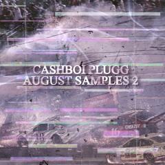 August Samples 2 [Prod. CashBoi Plugg] Ft. MONT BAVAGE
