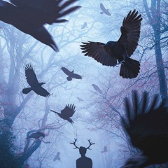 The Silence Of The Crows