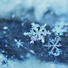 Blood, Sweat & Tears