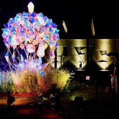 Light show in forest of fairytale 2019 --fairytale village of Kenji Miyazawa--