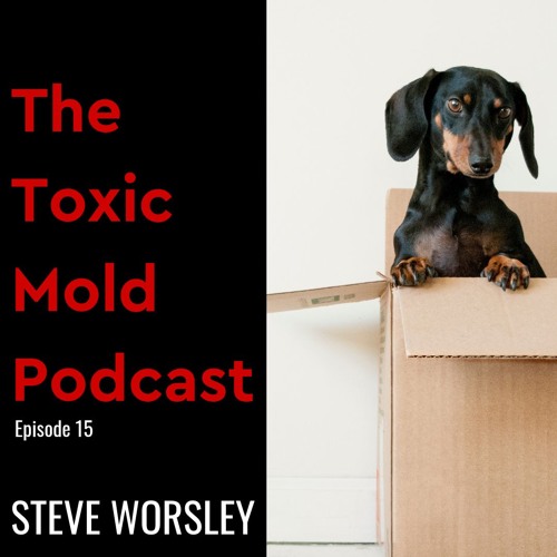 EP 15: How does a renter deal with mold concerns?