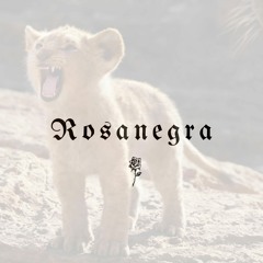 Already (Litefeet Remix) by Rosanegra