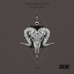 Markus Homm - Golden Horizon (Original) - Snippet