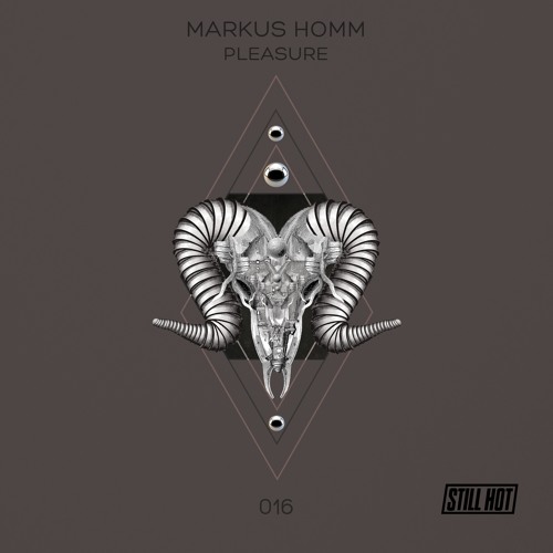 Markus Homm - Golden Horizon (Original) - Snippet